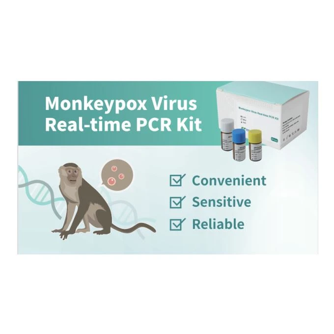 Testul rapid al testului antigen al maimuței salivare